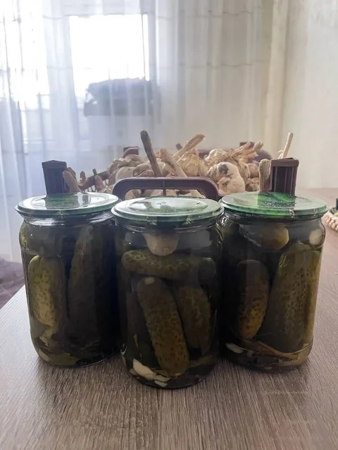 Продам маринованные огурцы и чеснок - Мед в Ставрополь