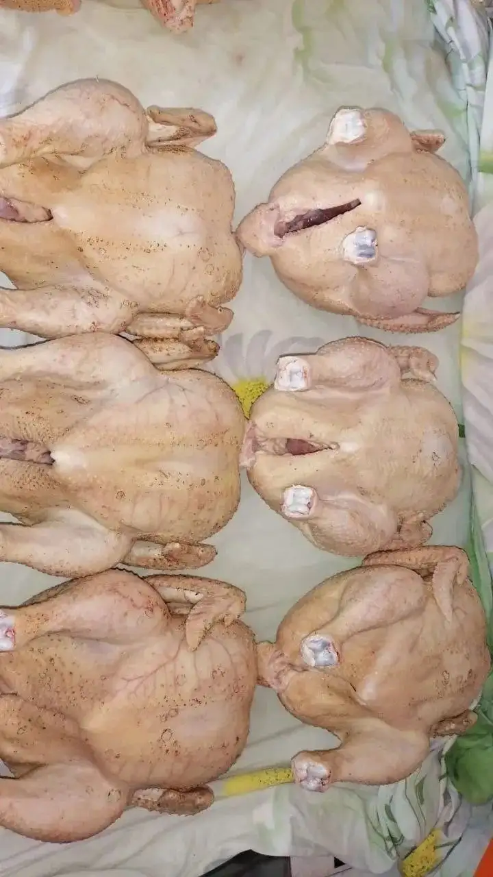 Домашнее мясо бройлера - Продукты питания (Для дома и дачи) в Ставрополь
