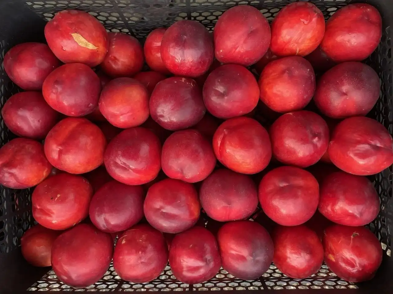 Продажа нектарина, вкусный и сочный - Продукты в Михайловск