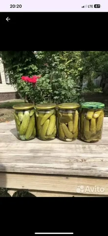 Домашние закрутки: огурцы и чеснок - Продукты в Ставрополь