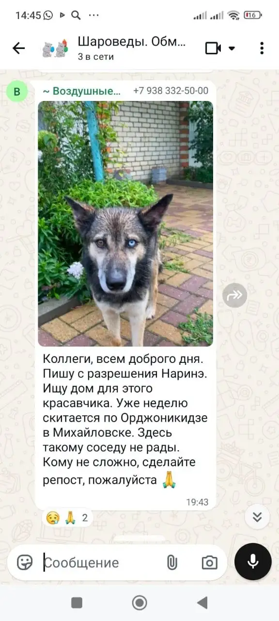 Услуги профиля в Ставрополе - Услуги в Ставрополь