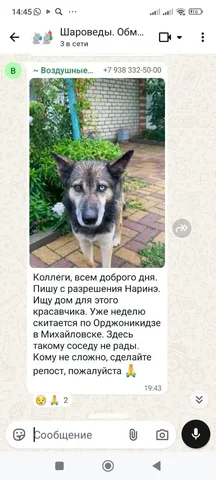 Услуги профиля в Ставрополе - Путешествия в Ставрополь