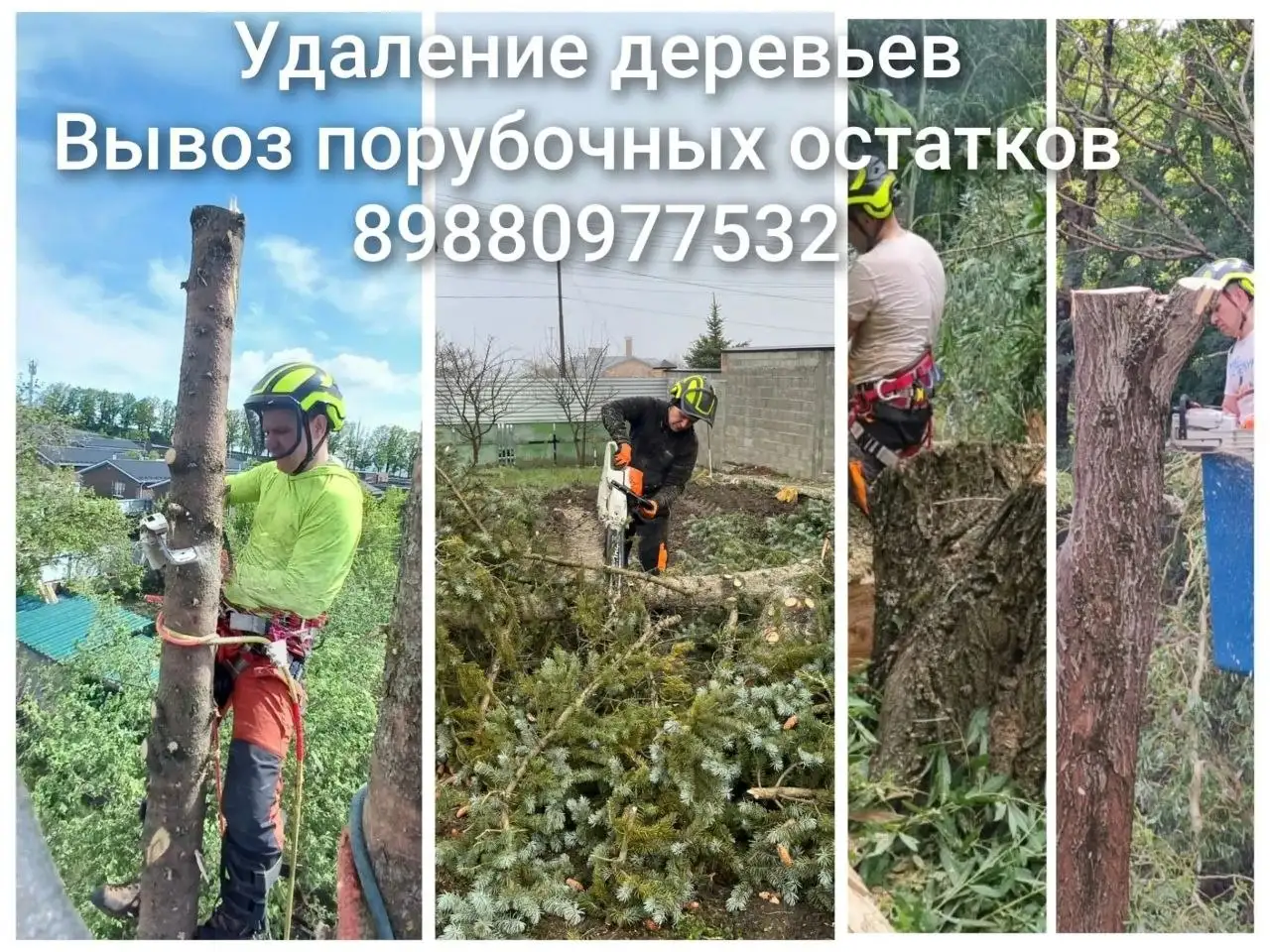 Спил деревьев и услуги альпинистов в Ставрополе - Сад и благоустройство (Услуги) в Ставрополь