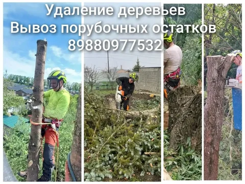 Спил деревьев и услуги альпинистов в Ставрополе - Услуги красоты в Ставрополь