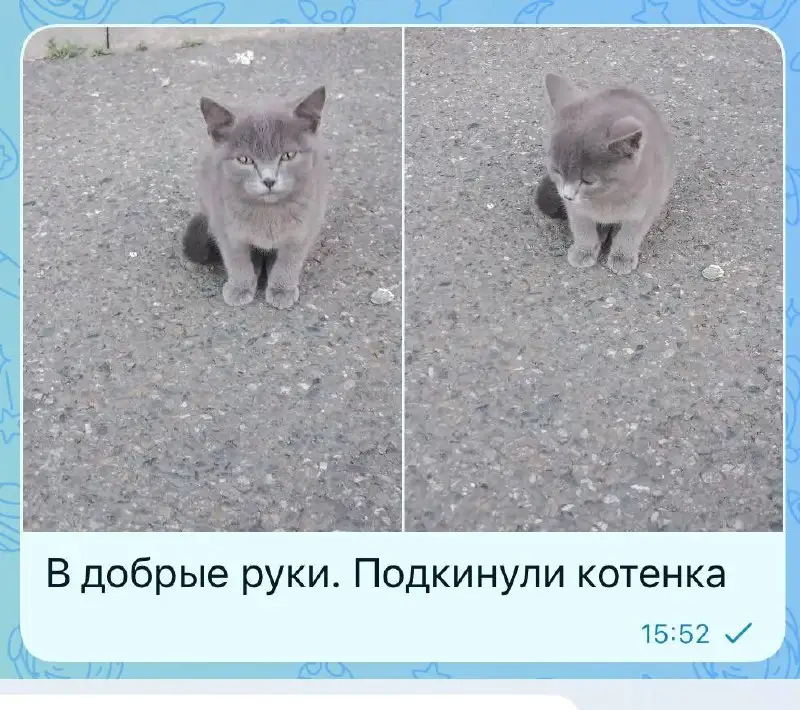 Срочно - Барахолка в Ставрополь