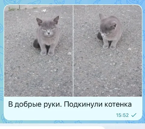Срочно - Швейные машины в Ставрополь
