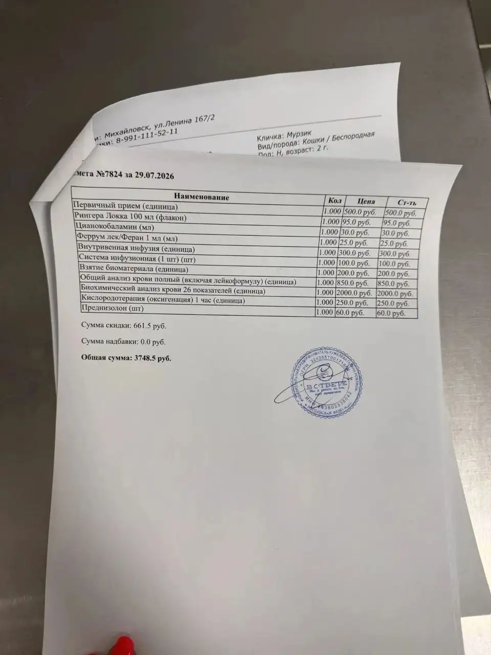 Срочный сбор на покрытие долга за лечение кота - Услуги в Ставрополь