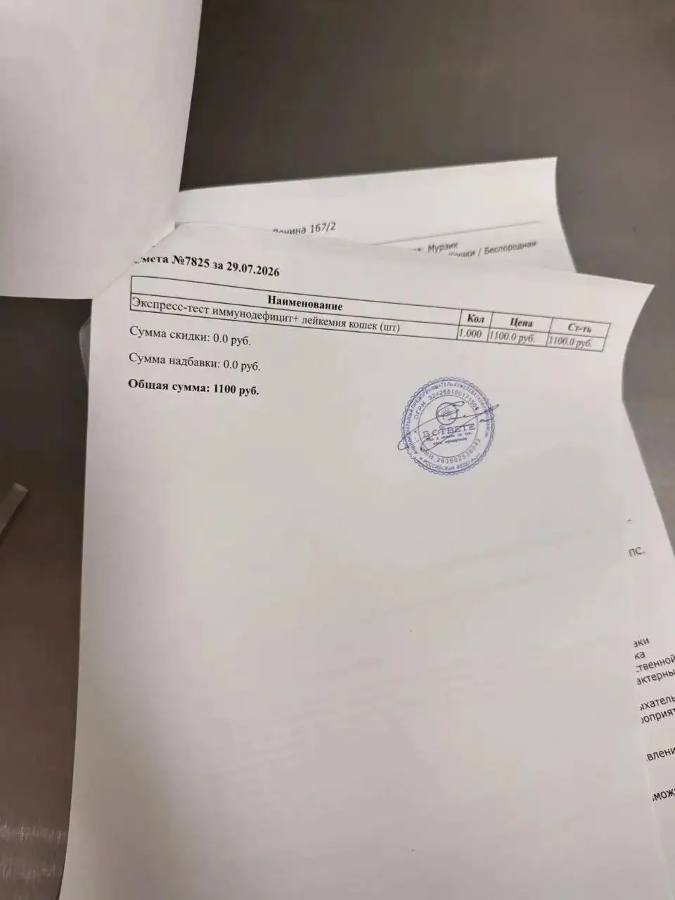 Срочный сбор на покрытие долга за лечение кота - Услуги в Ставрополь