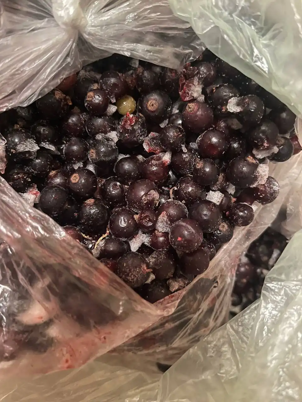 Продажа черной смородины - Барахолка в Балашиха
