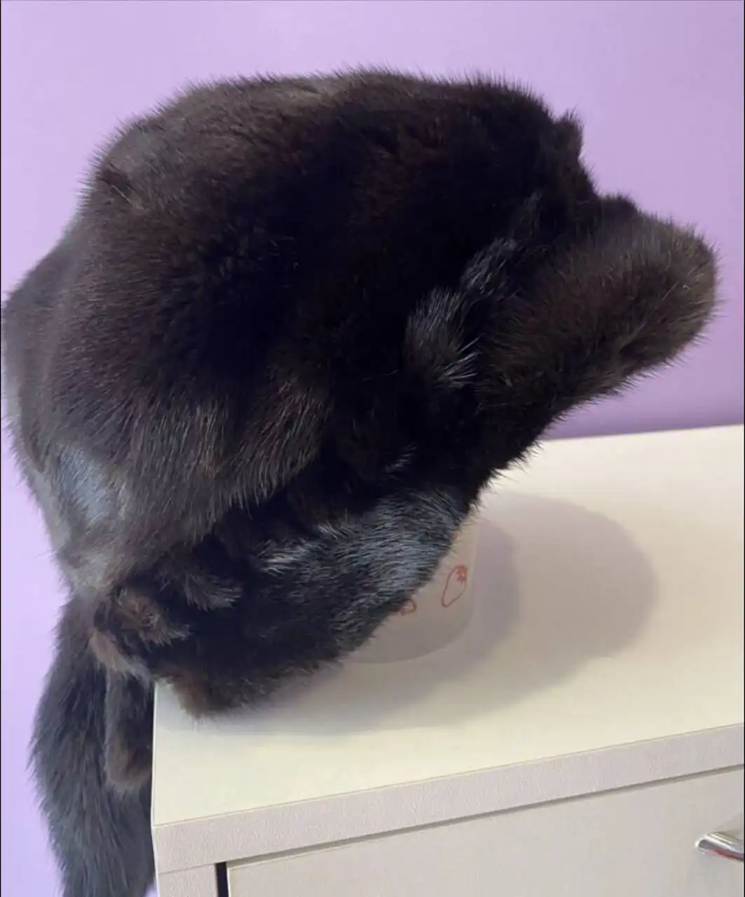 Зимняя шапка из меха норки и женский пуховик - Головные уборы и Верхняя одежда (Одежда) в Балашиха