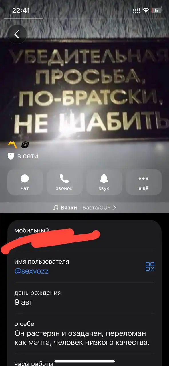 Усилок и 2 колонки