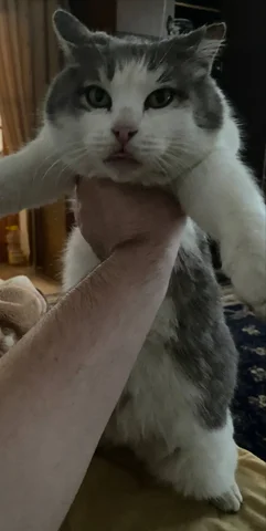 Продажа автомобиля - частное объявление в Махачкала