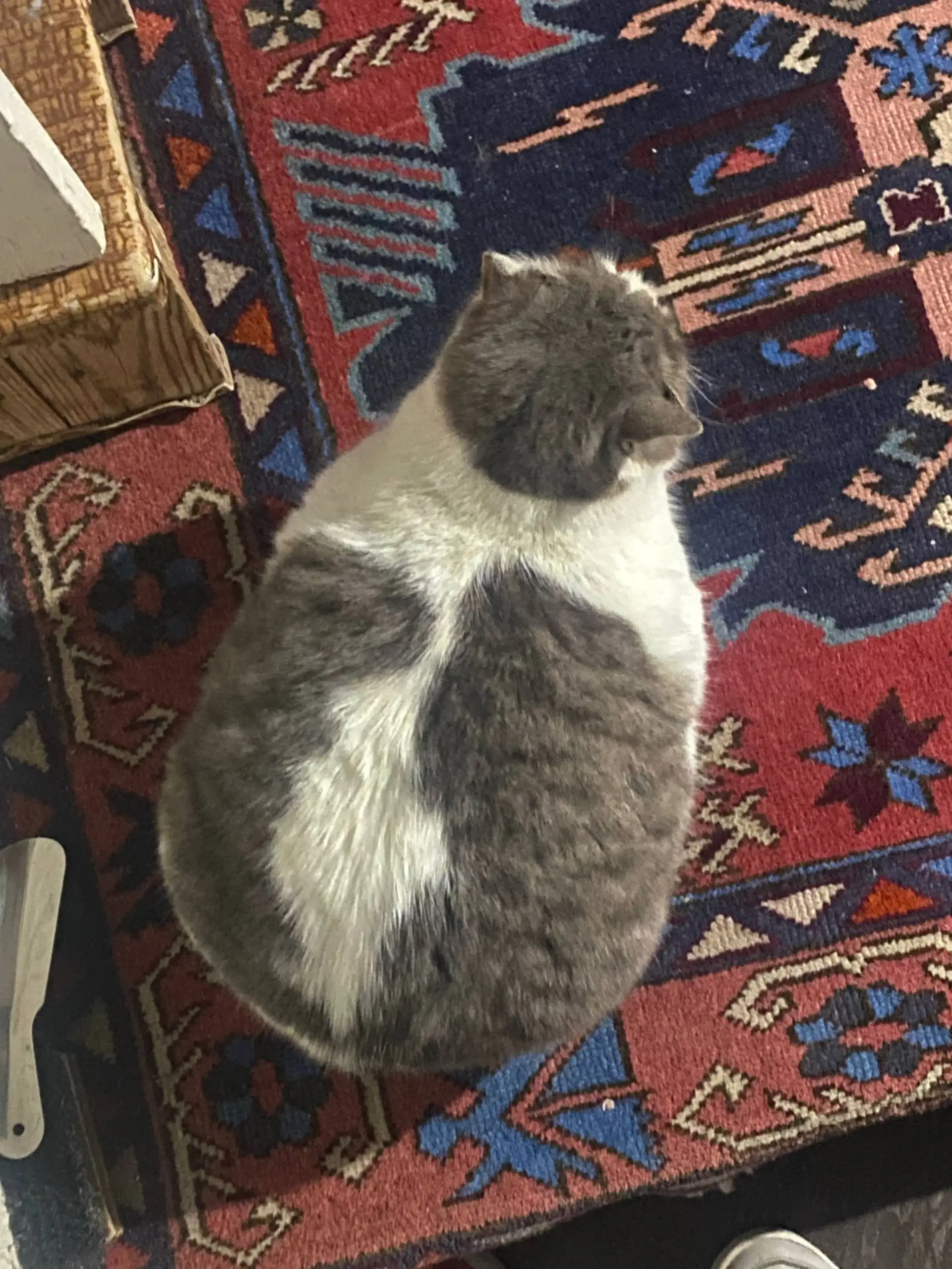 Продажа весов электронных - Электроника для дома (Барахолка) в Махачкала