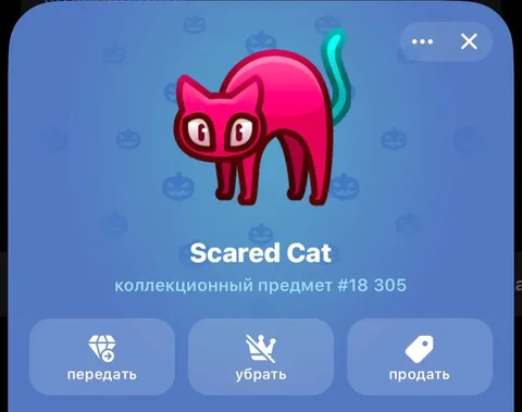 Услуга за 8000 - Аренда авто в Махачкала