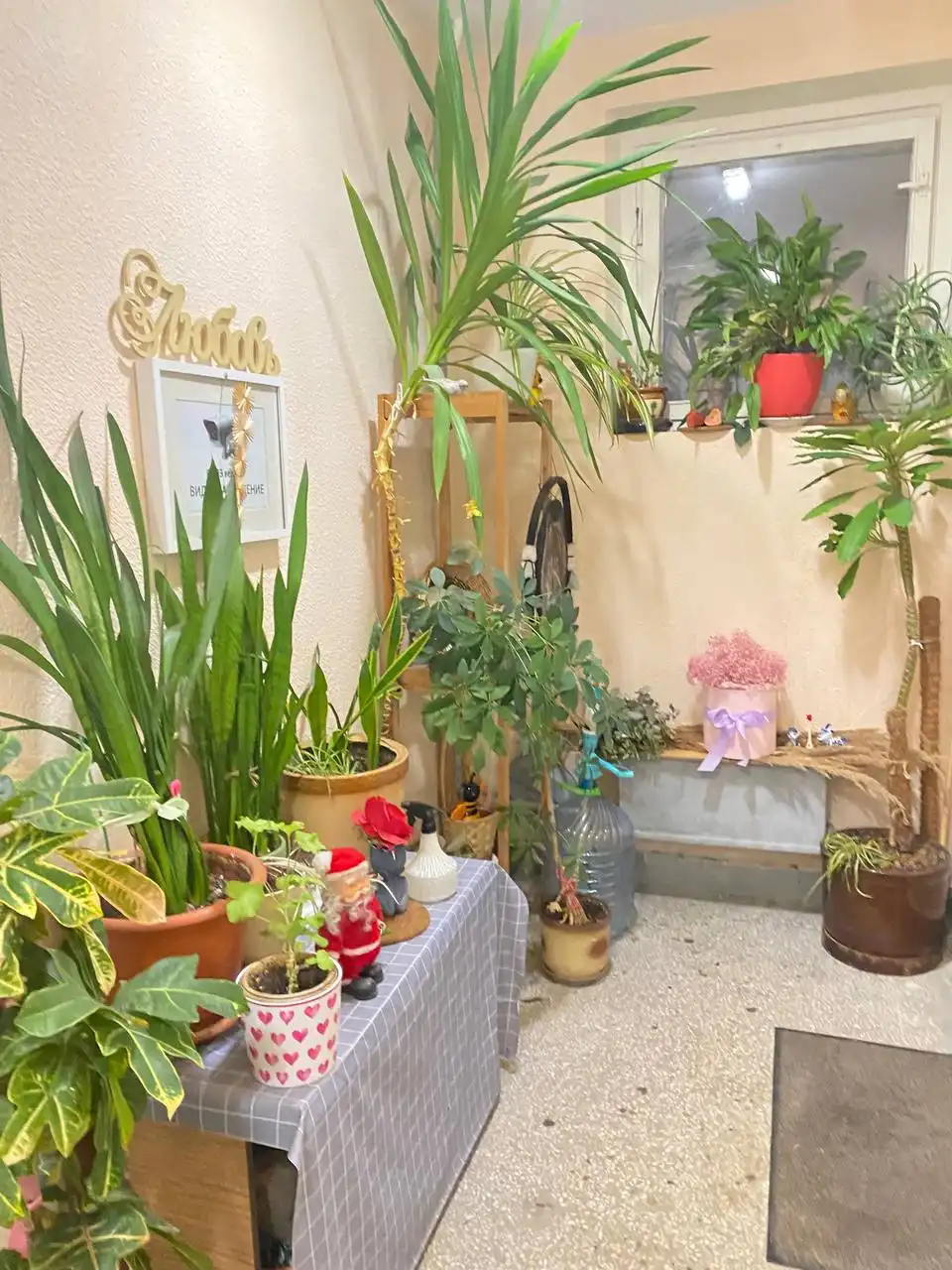 Обмен растений в Москве