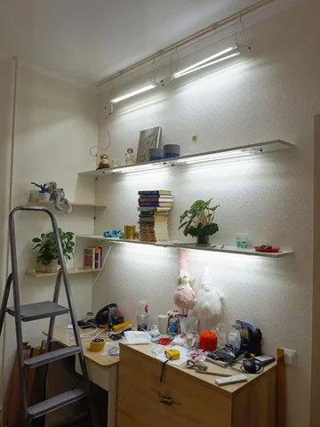 Обмен растений в Москве - Хобби и отдых в Москва