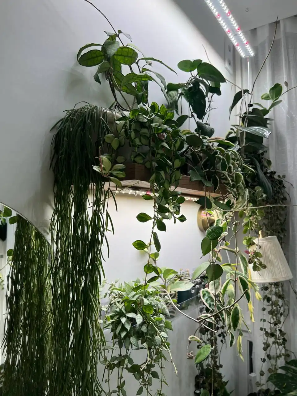 Полка для растений с наклоном