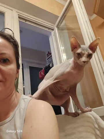 Обмен растениями в Москве - Хобби и отдых в Москва