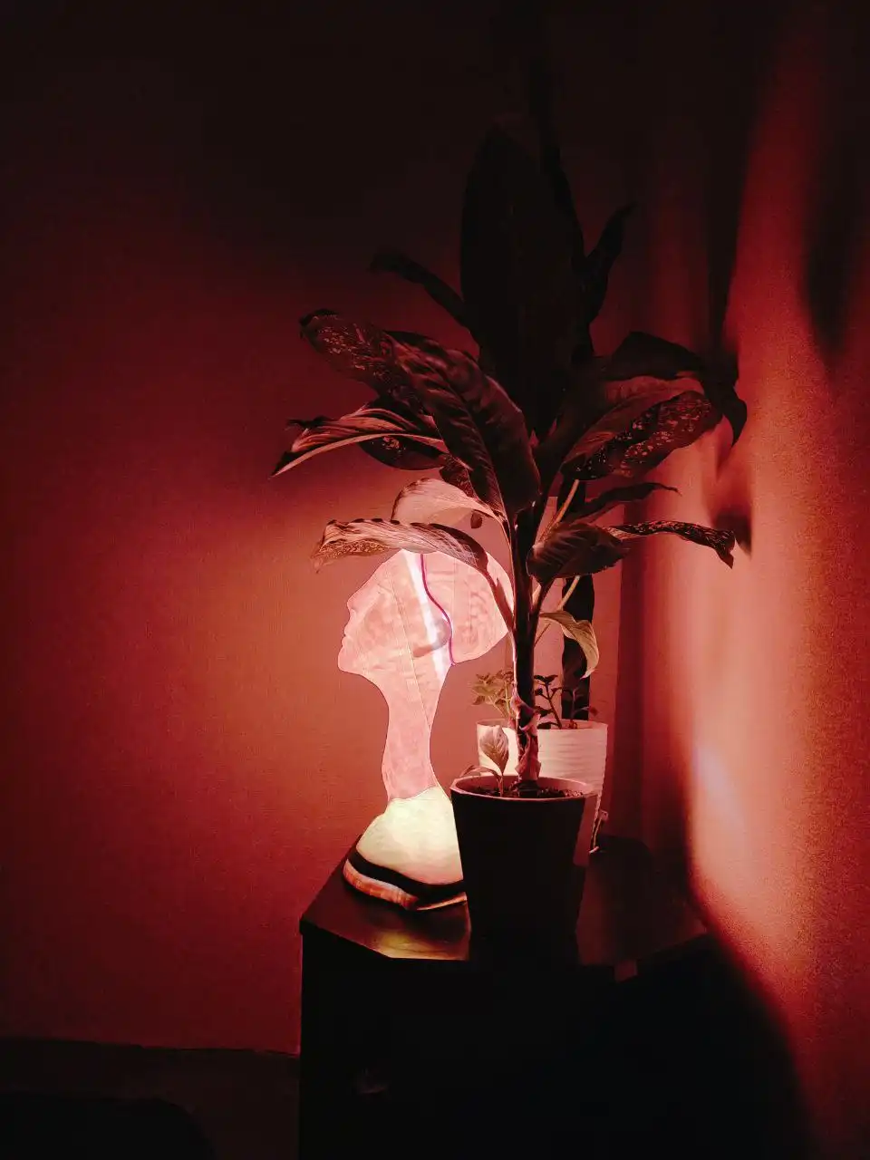 Светильник, напечатанный на 3D принтере