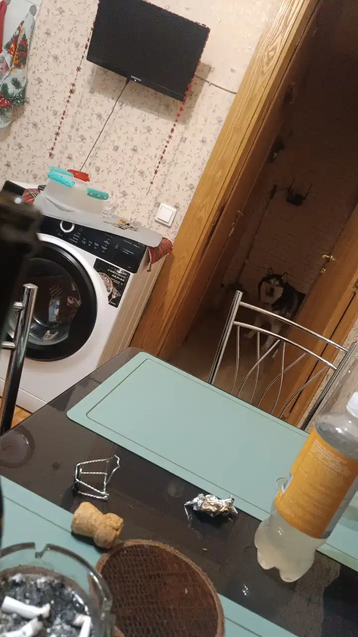 Обмен растениями в Москве