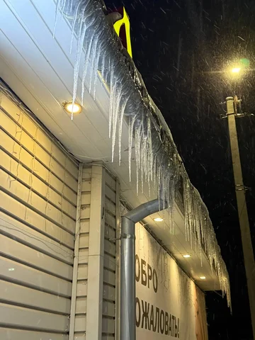 Обмен растениями в Москве - частное объявление в Москва