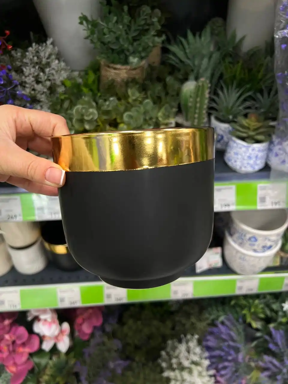 Фикс прайс | Обмен растениями - Растения (Хобби и отдых) в Москва