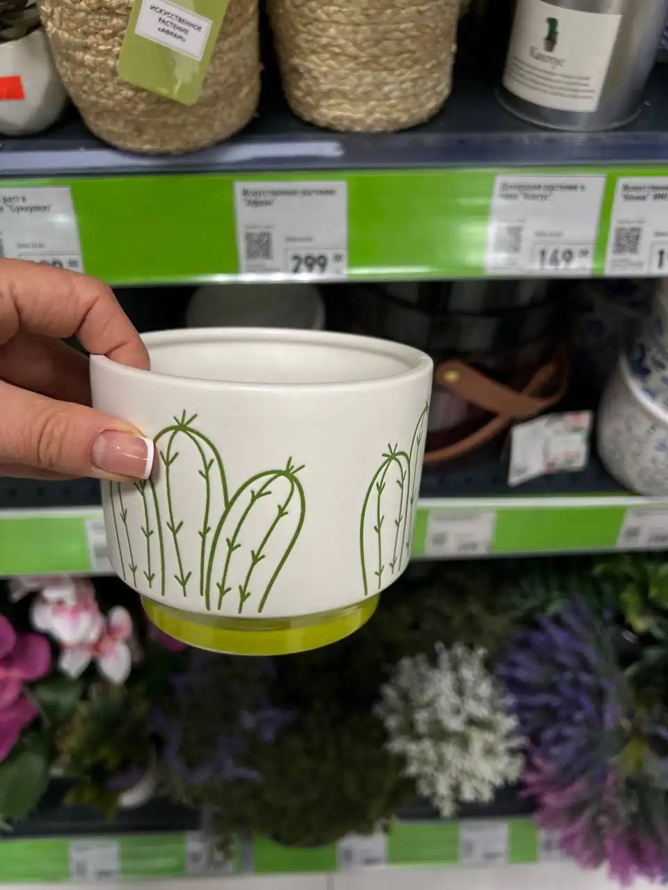 Фикс прайс | Обмен растениями - Растения (Хобби и отдых) в Москва