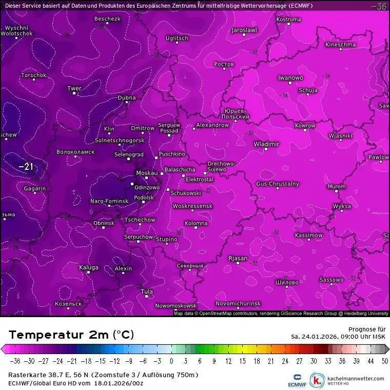 Москва замёрзнет намертво - Обмен растениями (Хобби и отдых) в Москва