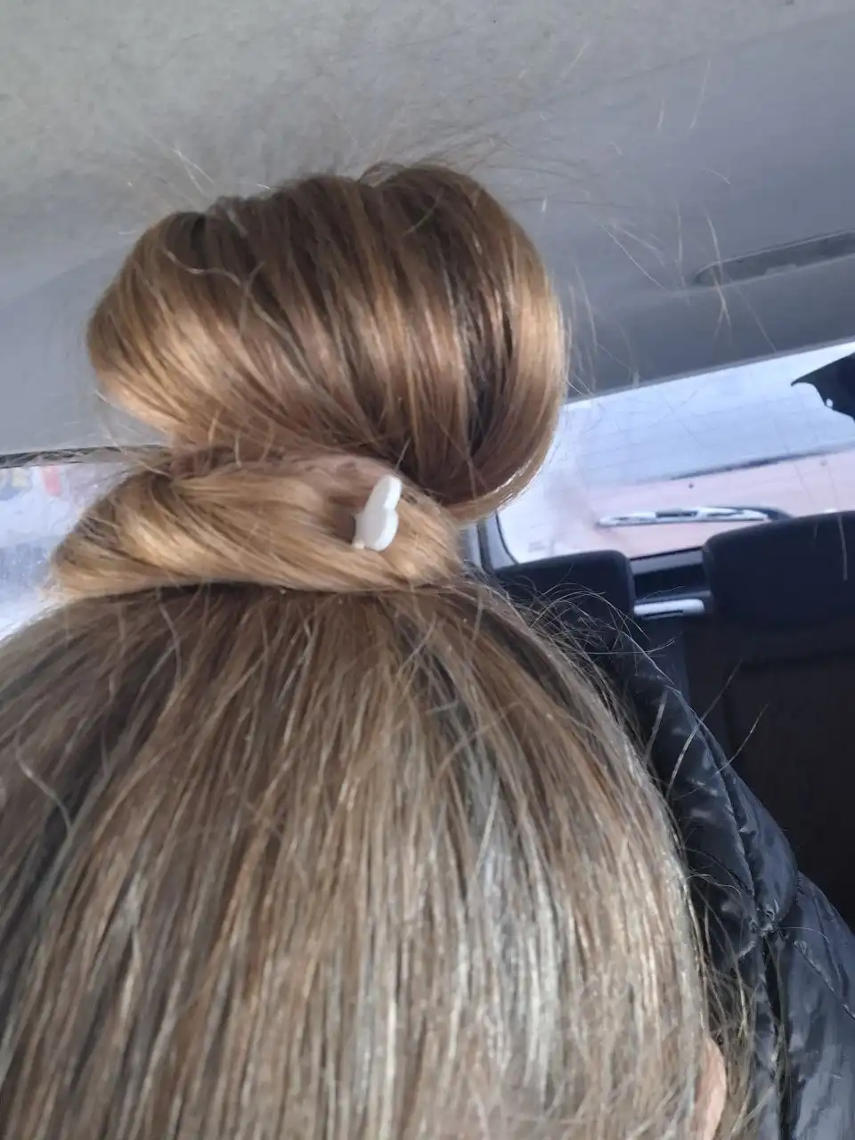 Обмен растениями в Москве - Растения (Хобби и отдых) в Москва