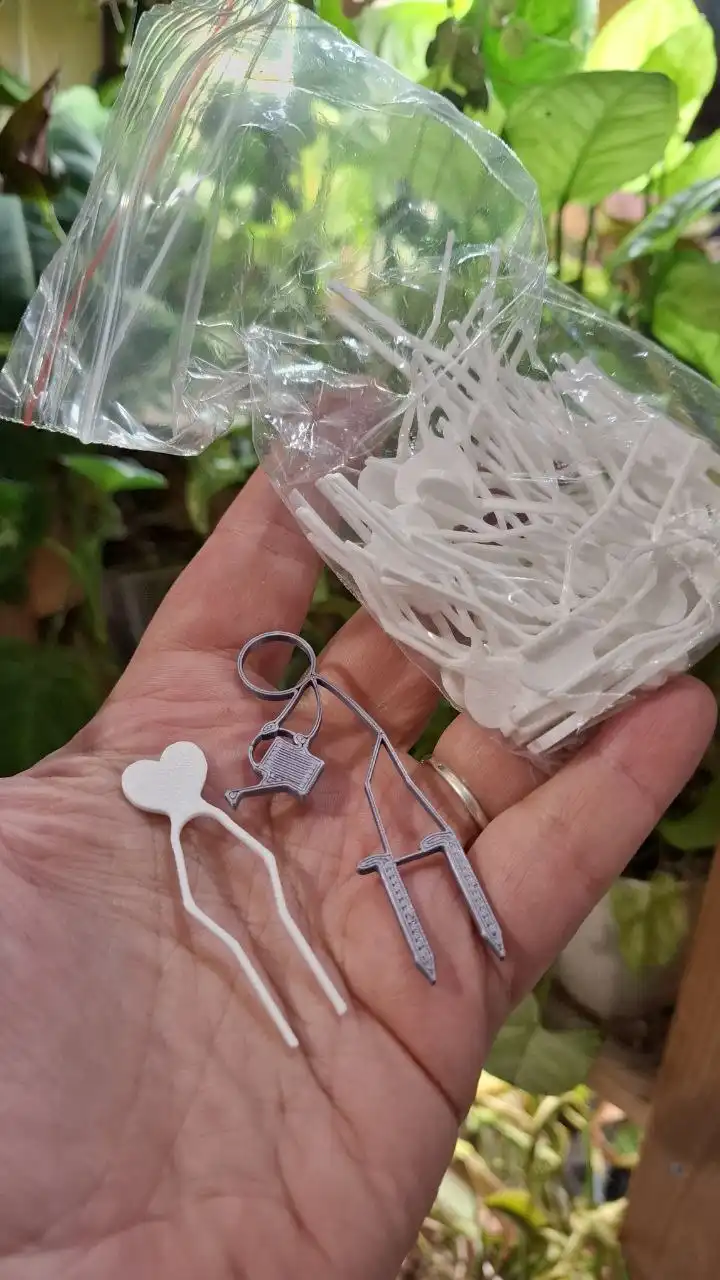 Обмен растений с подарком - Растения (Хобби и отдых) в Москва