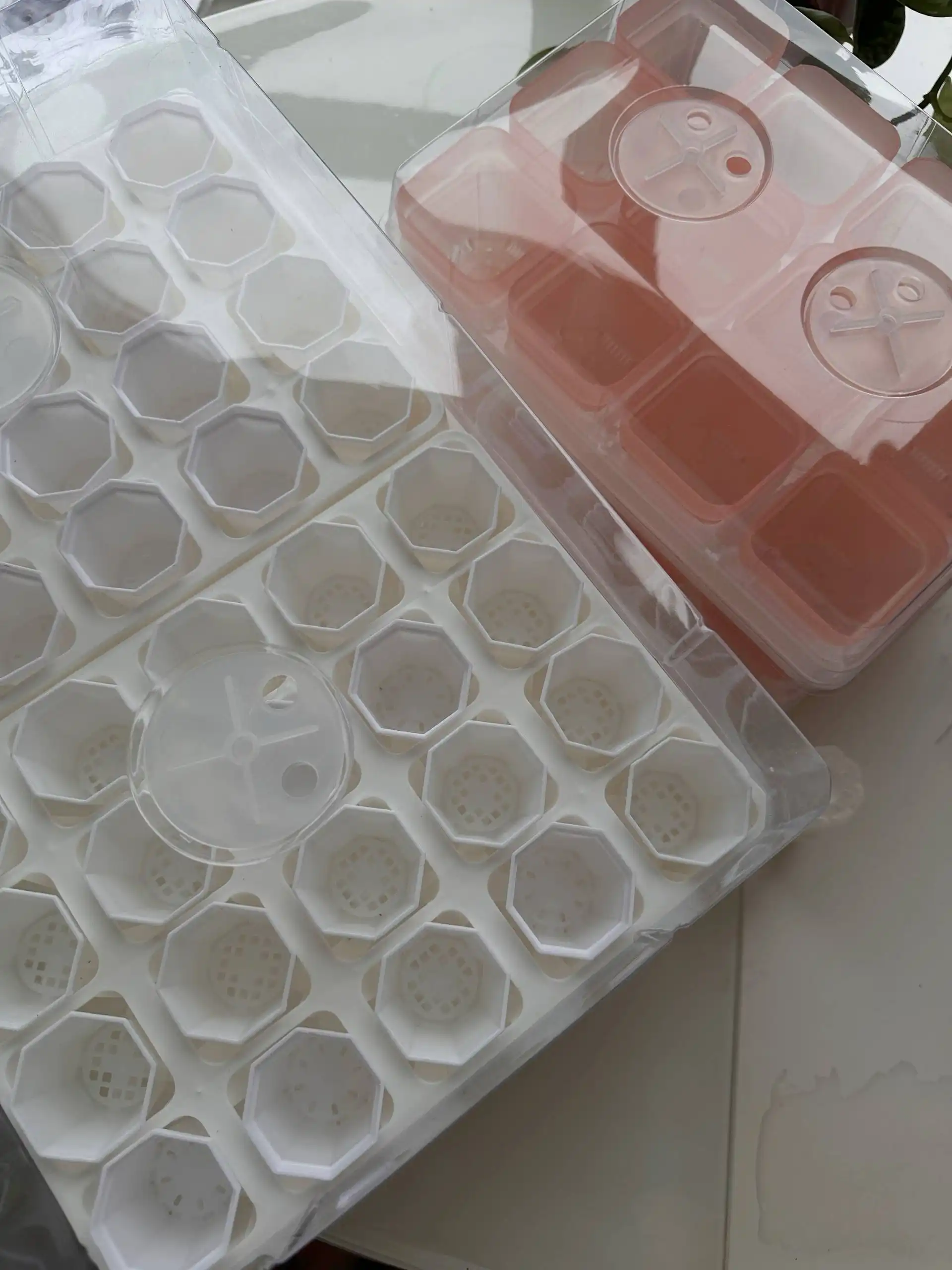 Обзоры на теплички для растений - Куклы в Москва