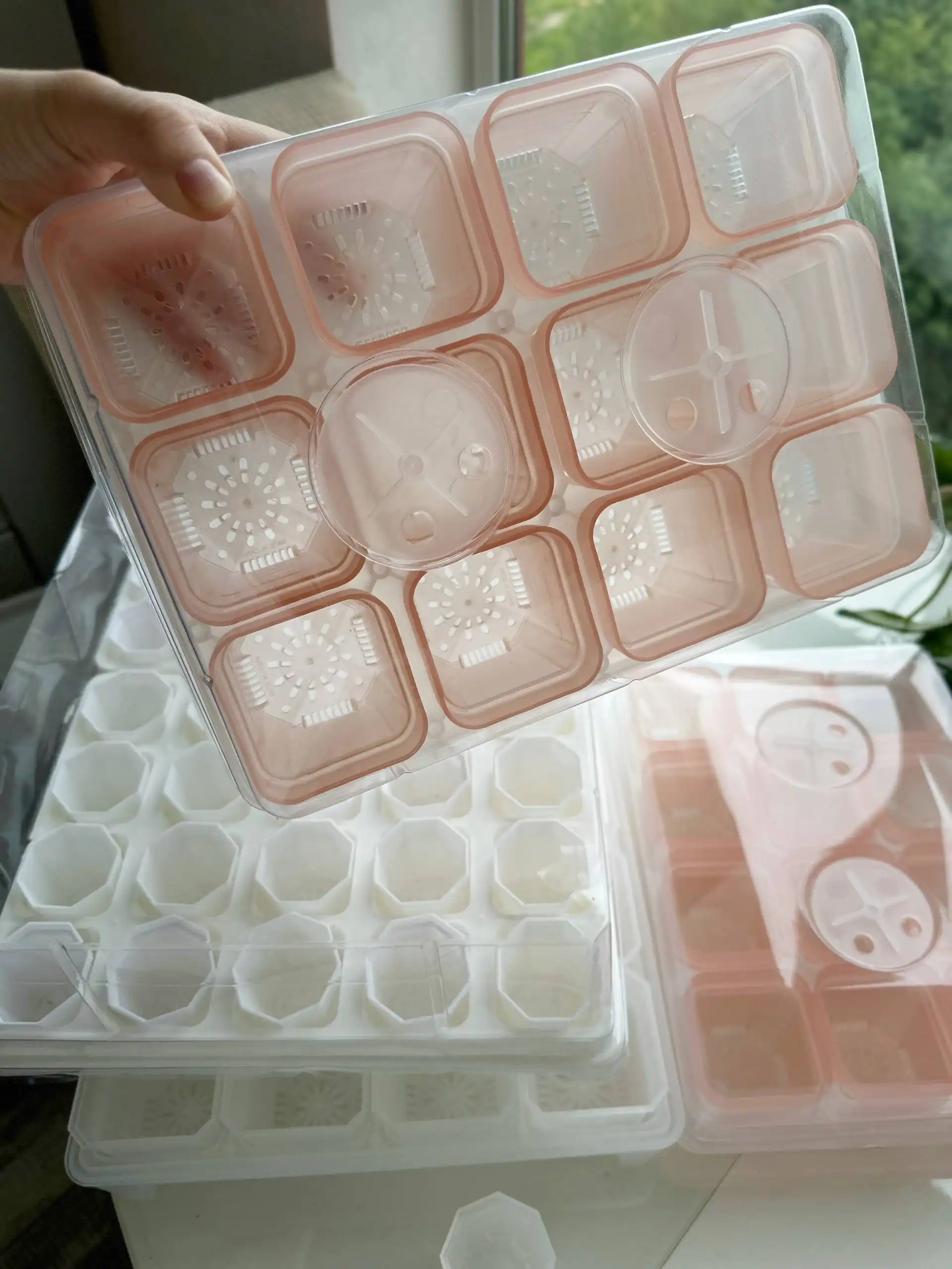 Обзоры на теплички для растений - Растения (Хобби и отдых) в Москва