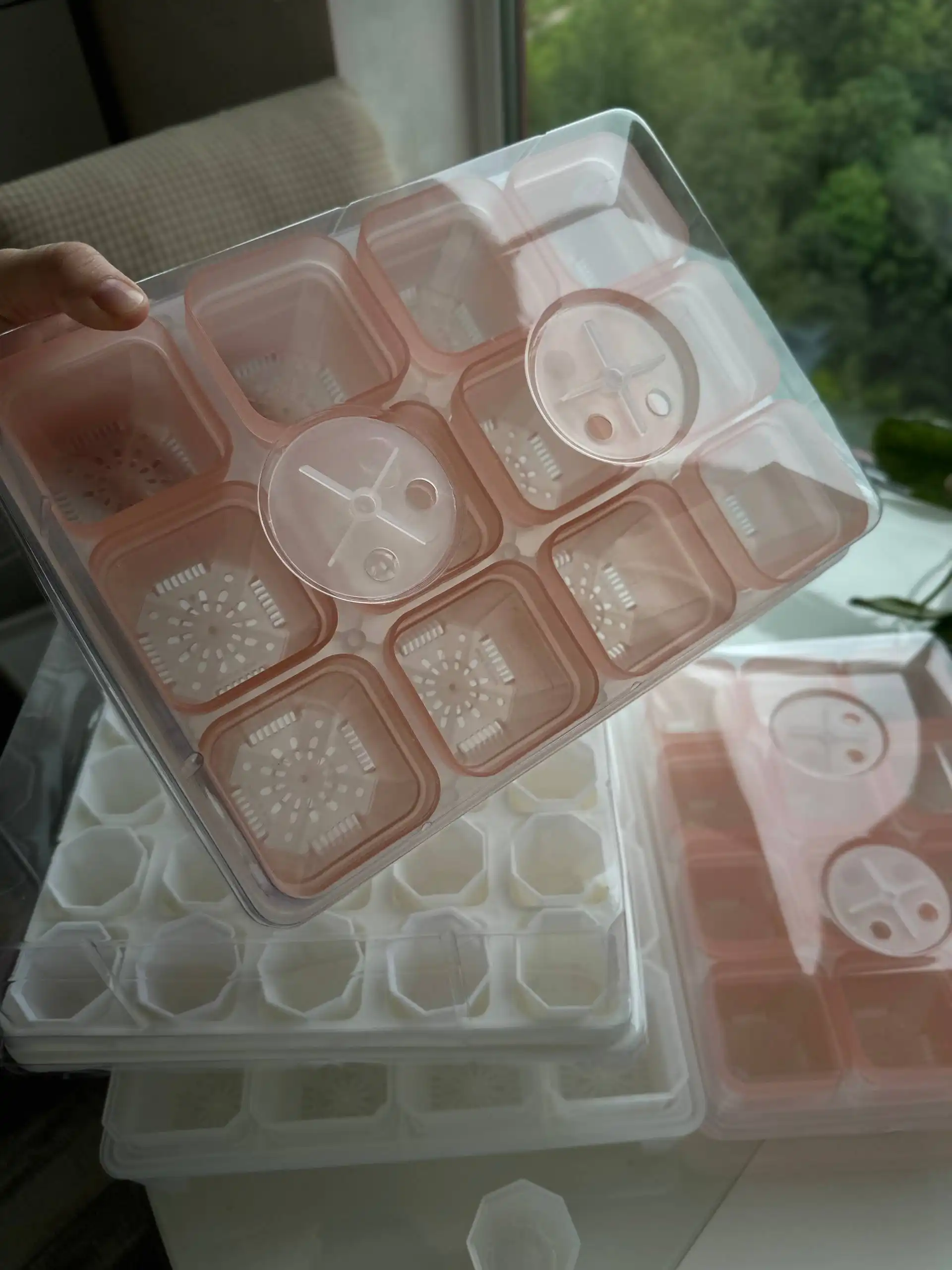 Обзоры на теплички для растений - Растения (Хобби и отдых) в Москва