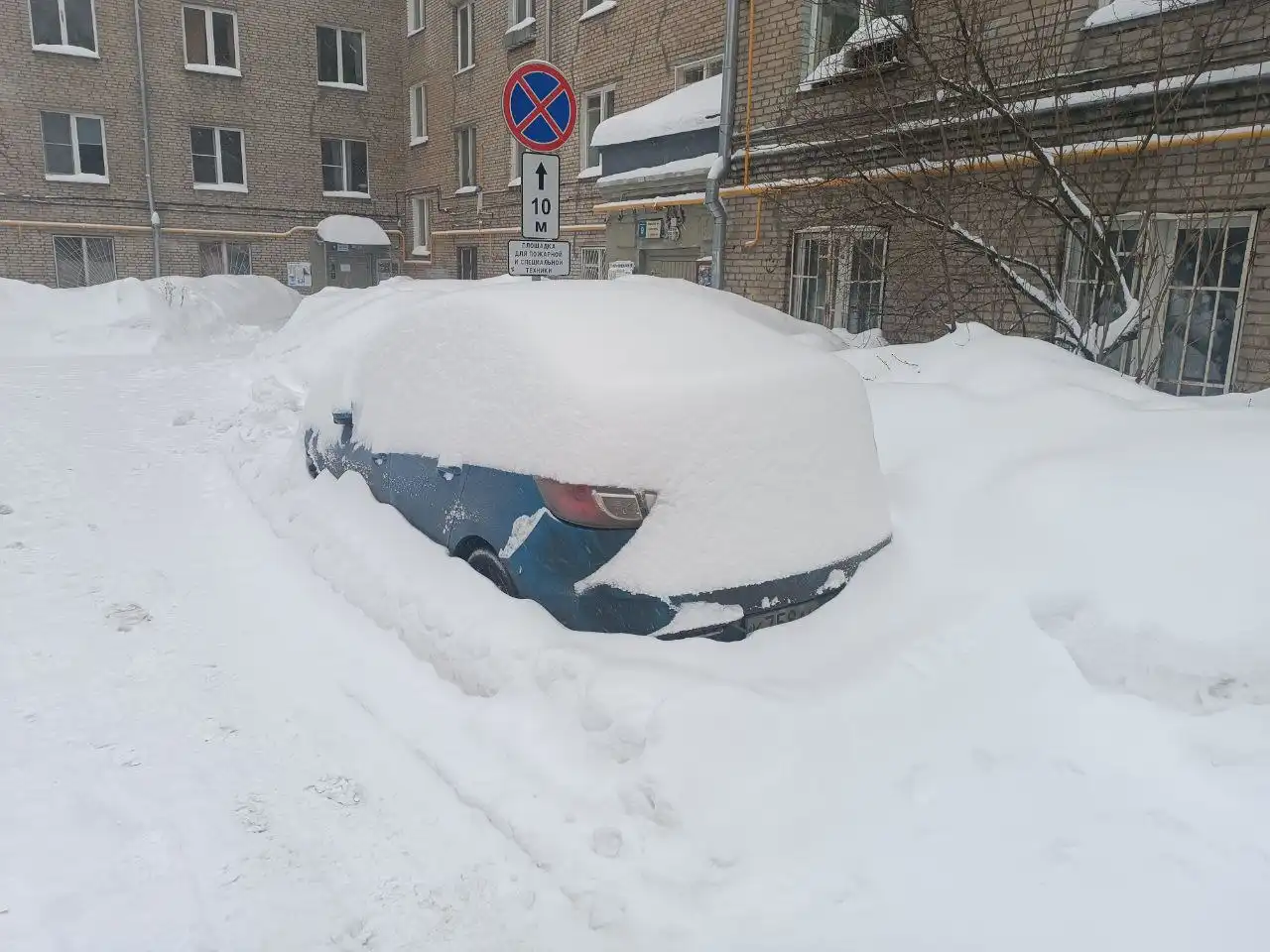 Обмен растений в Москве - Растения (Хобби и отдых) в Москва