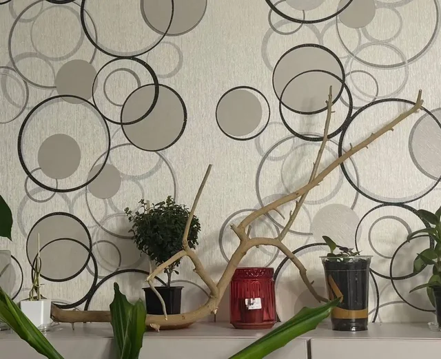 Обмен или продажа коряги для декора или большого проекта - частное объявление в Люберцы