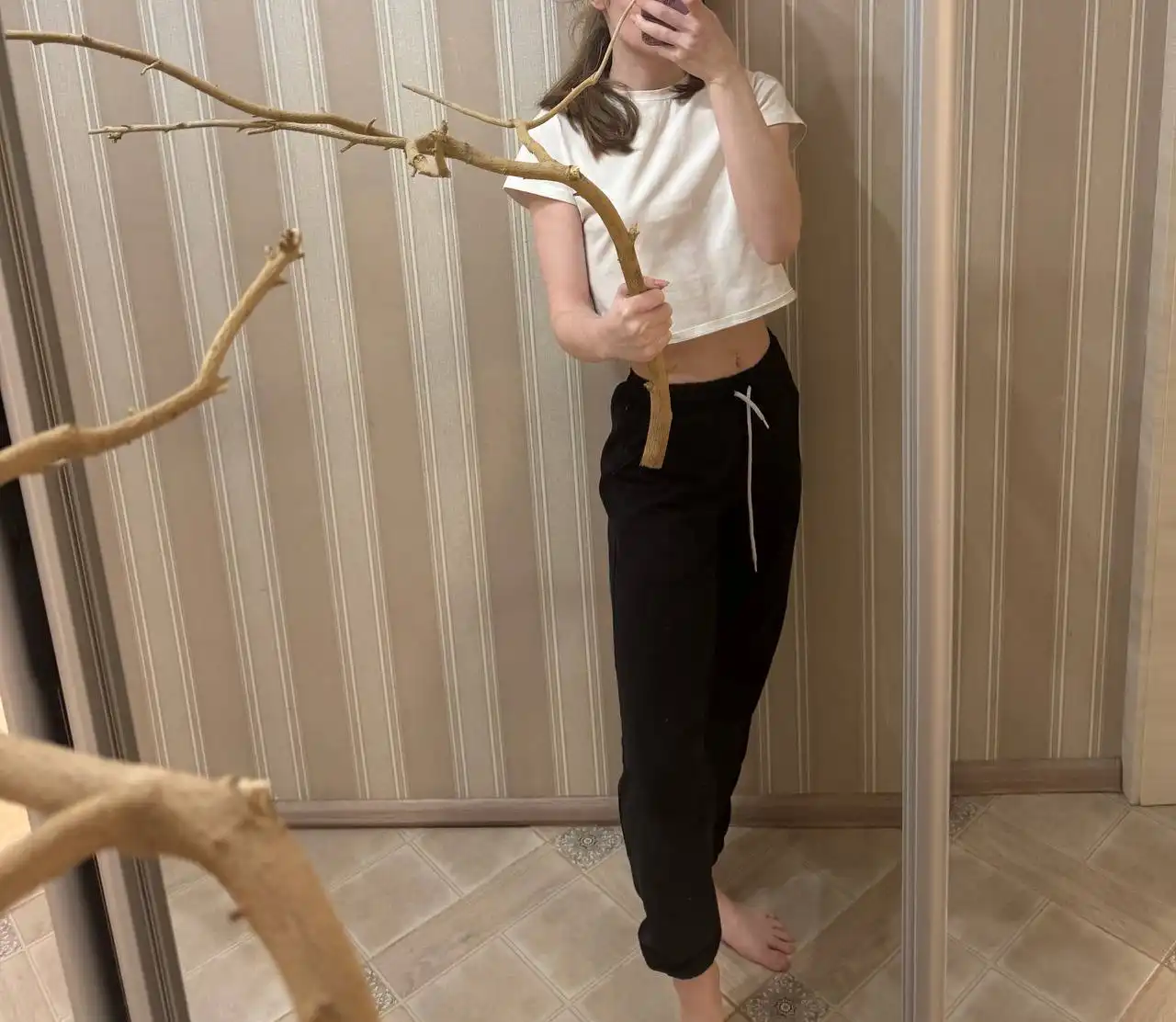 Обмен или продажа коряги для декора или большого проекта - Растения (Хобби и отдых) в Люберцы