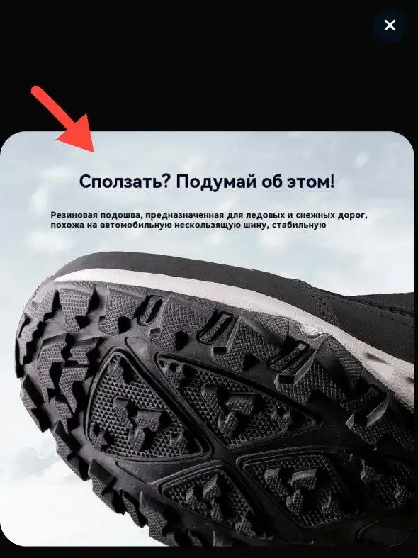 Дутики - растения для обмена в Москве - Растения (Хобби и отдых) в Москва