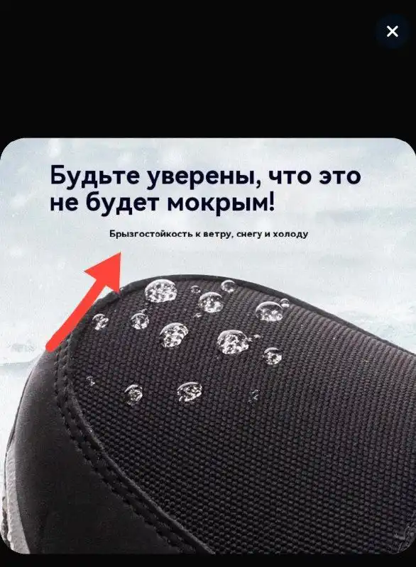 Дутики - растения для обмена в Москве - Растения (Хобби и отдых) в Москва