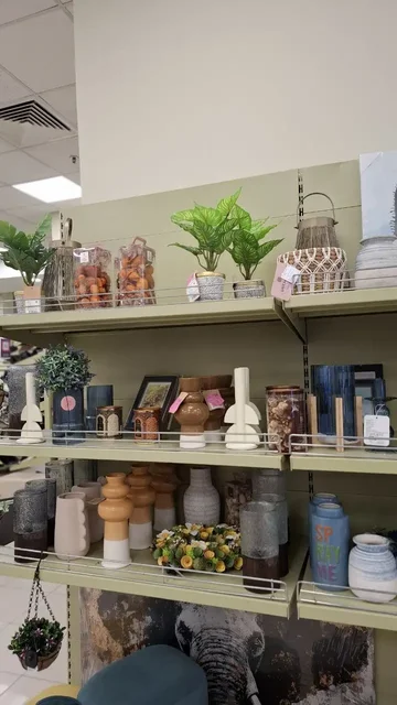 Обмен растений в Москве - Хобби и отдых в Москва