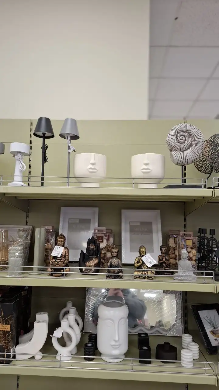 Обмен растений в Москве - Растения (Хобби и отдых) в Москва