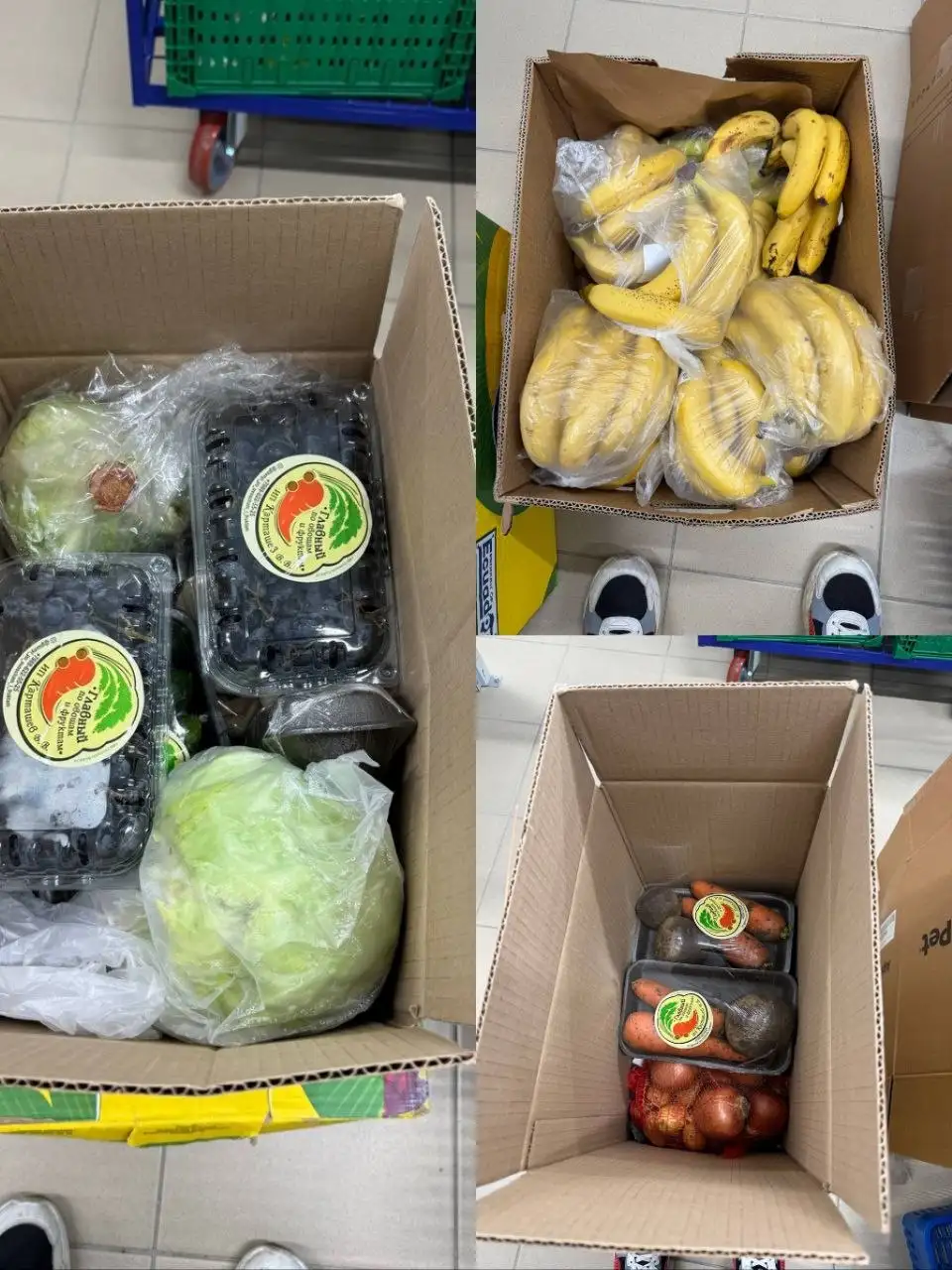 Отгрузки продуктов со складов Ozon Fresh - Логистика (Услуги) в Краснодар