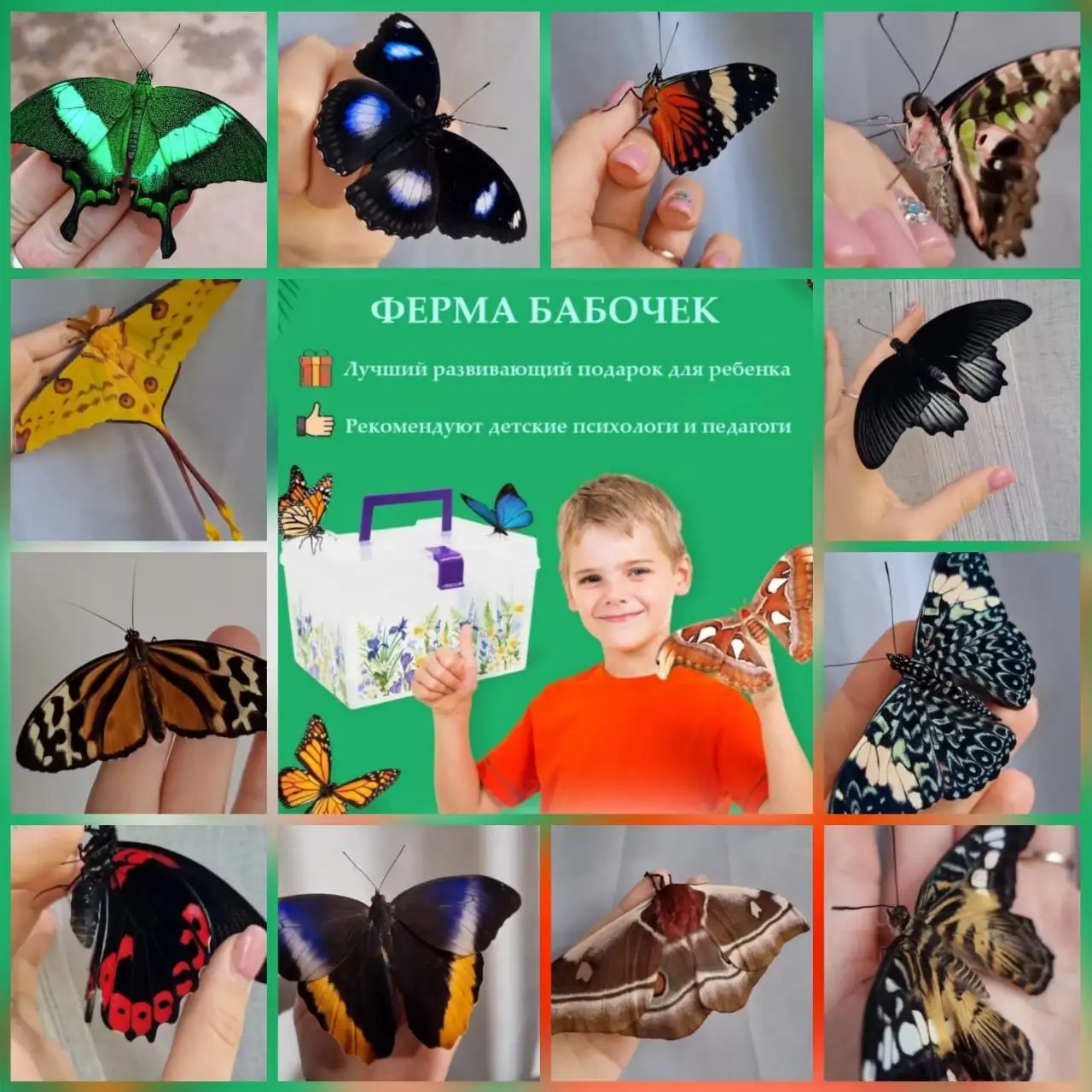 Боксы с бабочками в подарок от Ангелины - Барахолка в Краснодар