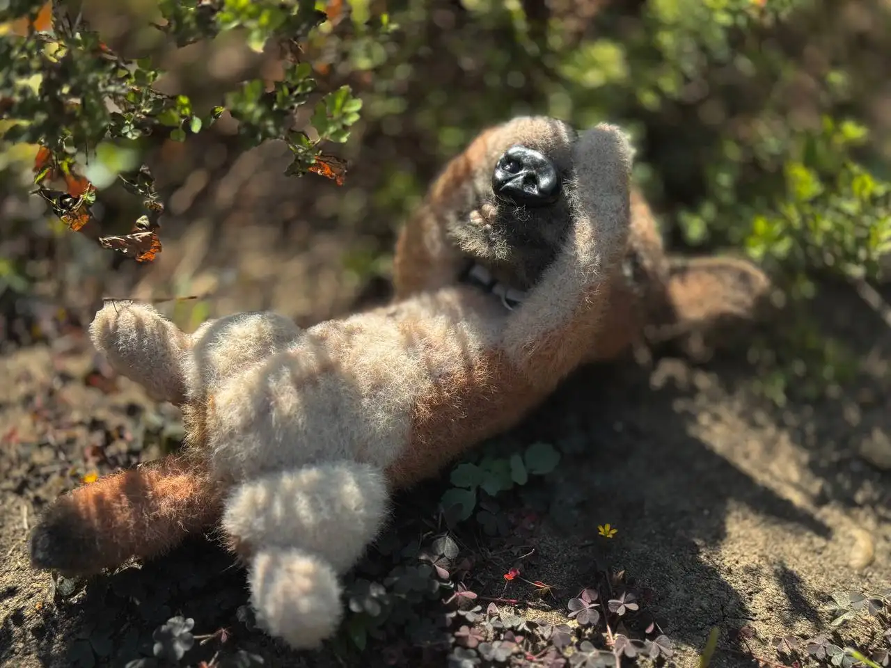 Игрушка ручной работы с изображением питомца - Рукоделие (Хобби и отдых) в Краснодар