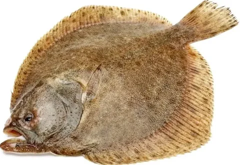 Продажа камбалы - Барахолка в Краснодар