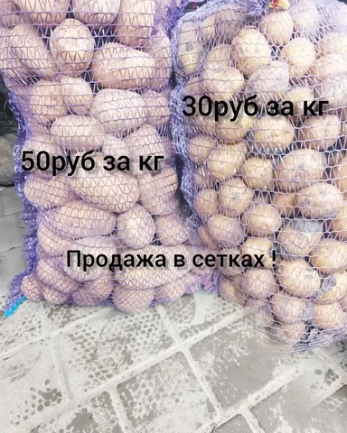 Продам картофель Галла - частное объявление в Краснодар