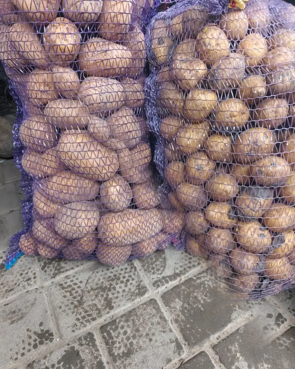 Продажа картофеля в Марьянской - Продукты питания в Марьянская