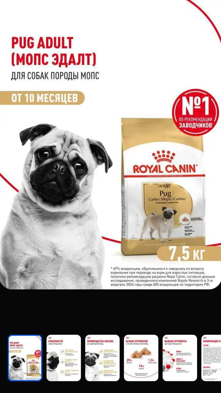 Корм Royal Canin Adult для мопса 7,5 кг - Корма для животных (Животные) в Самара