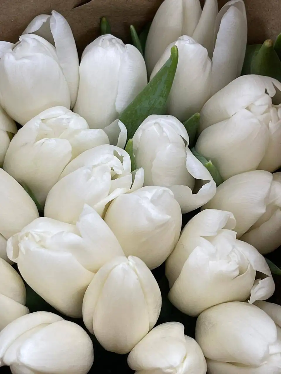 Продажа свежих тюльпанов к 8 Марта в Самаре - Цветы (Барахолка) в Самара