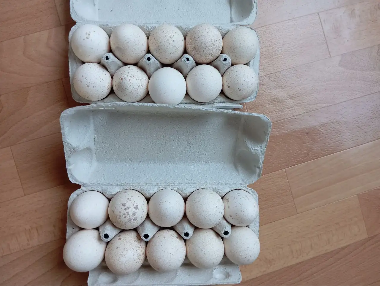 Яйца индейки - Продукты питания (Барахолка) в Самара