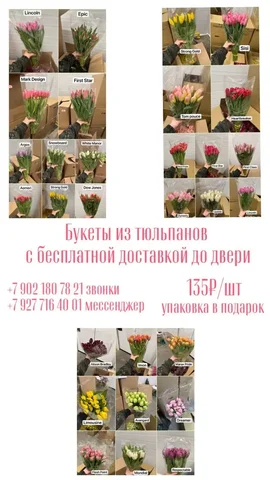 Барахолка Самара - Растения и семена в Самара